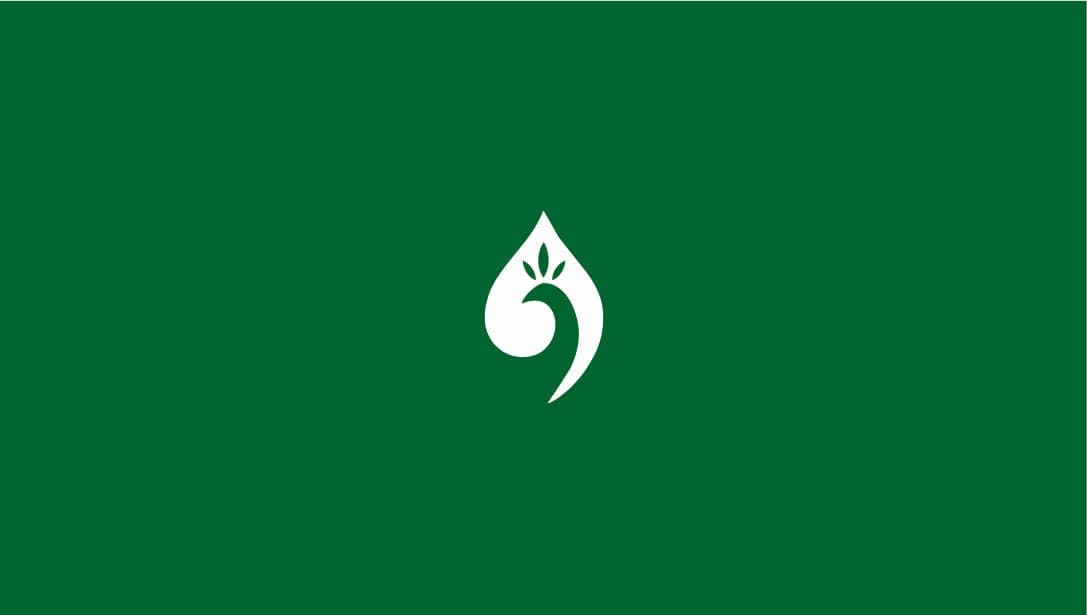 Plastifusion Logo